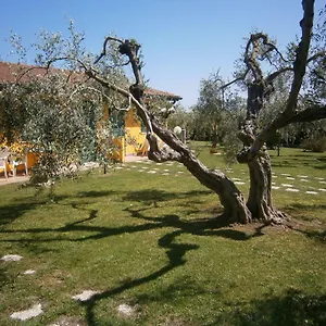 La Grande Quercia Capalbio